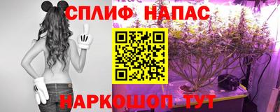 дмт Донецк