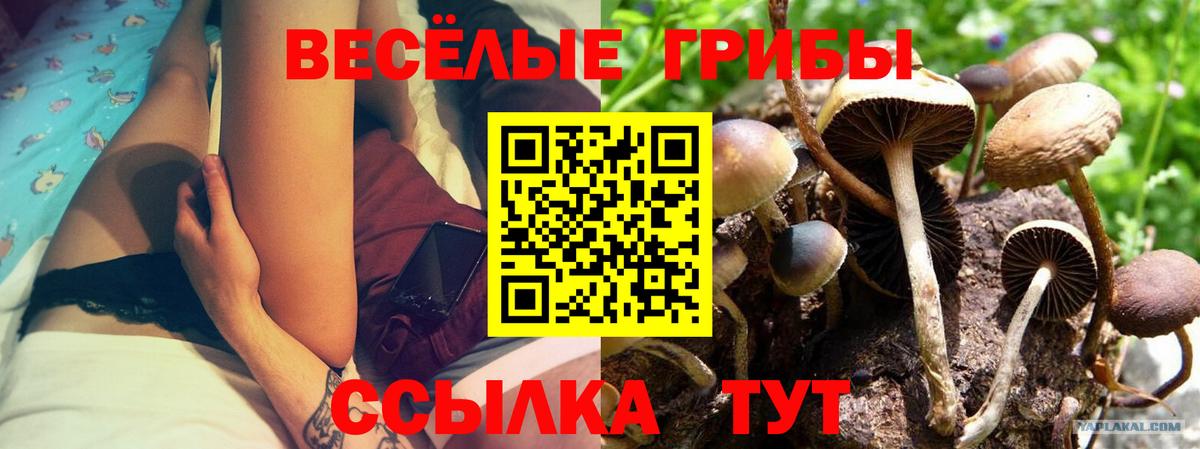 Мефедрон   Альфа ПВП СОЛЬ   Гашиш  Конопля  Вход с VPN  Лсд 25  Кстово  МЕФ  ГАШ 