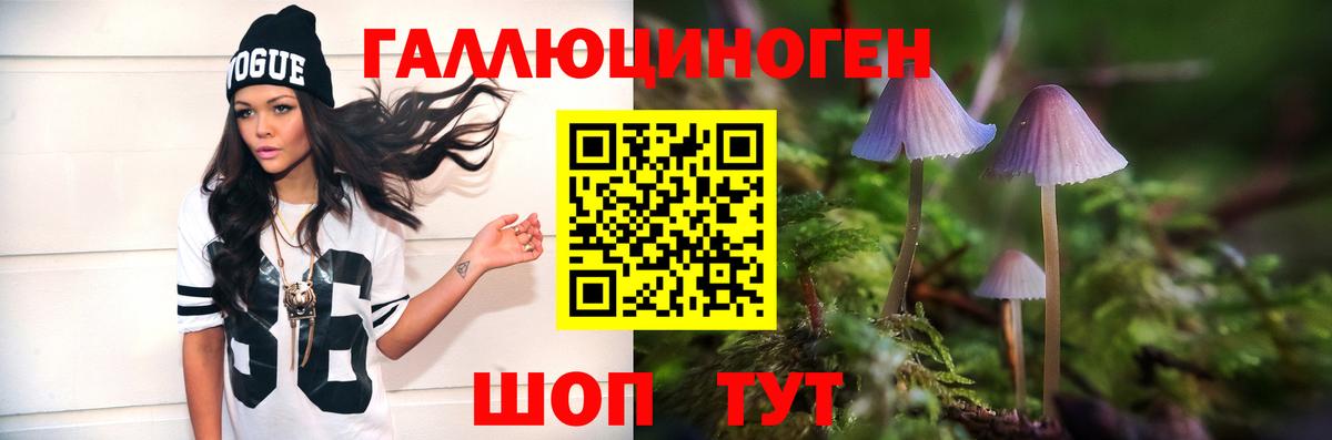 Псилоцибиновые грибы Cubensis Кстово